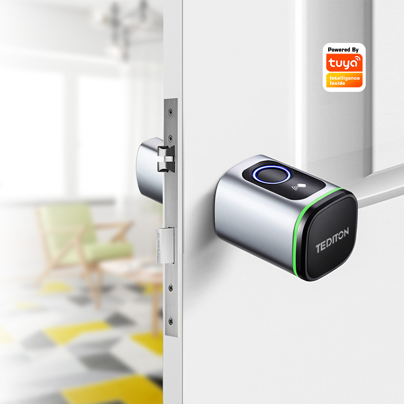 Airbnb Smart Home - 투야 와이파이 스마트 실린더 도어락 생체