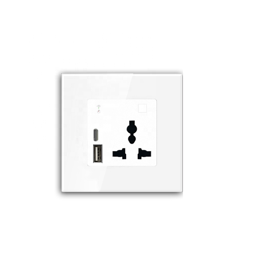 스마트 홈 시스템 WIFI 벽면 콘센트 USB/타입 C - Smart Wall Socket 리뷰 및 가격