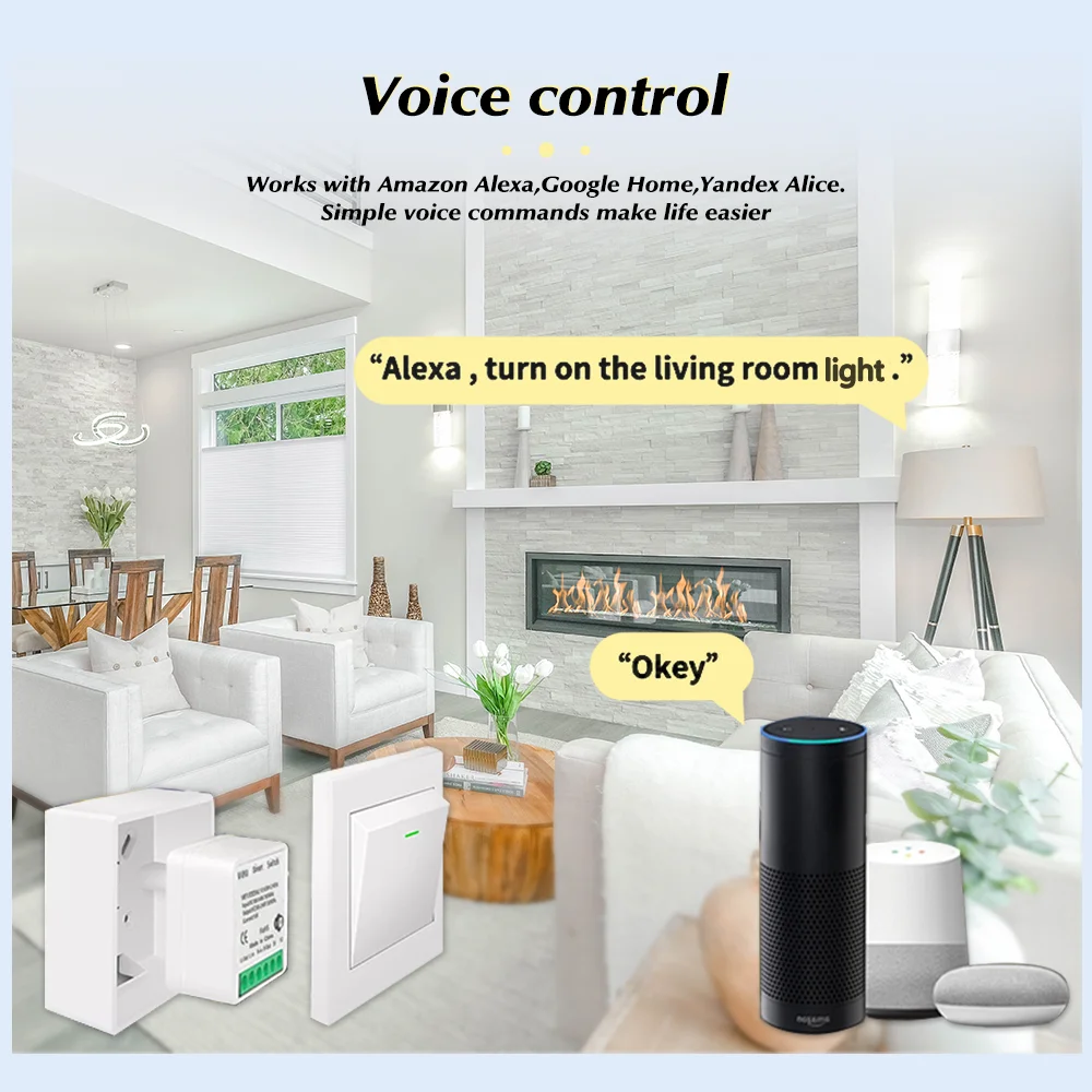 Tuya 미니 스마트 WiFi 스위치 16A Zigbe - Smart Home Lighting Control 리뷰 및 가격