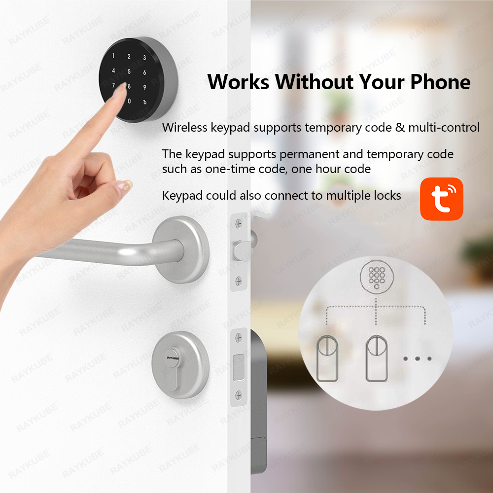 RAYKUBE A1 Pro Tuya BEL 스마트 도어 - Smart Home Ezviz 리뷰 및 가격