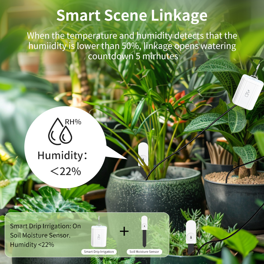 스마트 지그비 3.0 토양 테스터 식물 정원용 습도 온 - Smart Home Zigbee 3.0 리뷰 및 가격