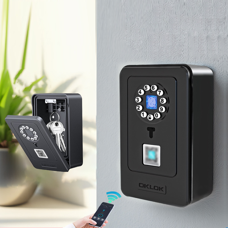지능형 패드락 걸이형 디자인 비밀번호 저장 금고 가정용 - Smart Home Box 리뷰 및 가격